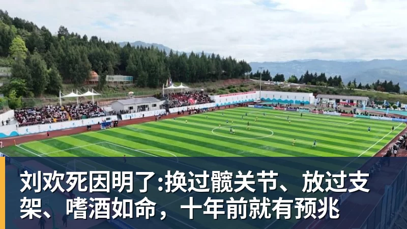 刘欢死因明了:换过髋关节、放过支架、嗜酒如命,十年前就有预兆